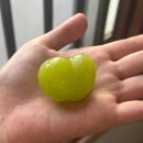 본죽 인천가좌점 | 23년 10월 마지막 날