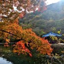 한국지엠정읍바로서비스 | 단풍 그 너머, 내장산에서 찾은 정읍의 호국 역사 (산성, 유적, 도보여행)