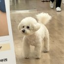 뷰티새롬 | 배곧 속눈썹연장 유지력까지 만족했던 이뽐뷰티 배곧본점 방문 후기