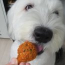 도요케이크 이미지