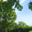 네가꿈꾸는일상 - 부천시 소사구 양지로152번길 15-6 | 대구 웨딩스냅 촬영 후기 | 핀터레스트감성 웨딩스냅 촬영 가이드