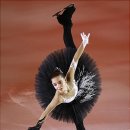 아델리아 이미지