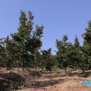 이승준농장 이미지