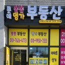 롯데캐슬명가공인중개사사무소 이미지