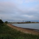 아라메길 (삼길나루길-벚꽃길) 이미지