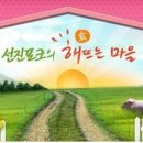 창원원예농협산호직판장 | 맛으로 승부하는 선진포크 오프라인 판매처 알려드려요~!![전국 식당 및 식육점]