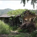 관촌삼거리(전주) 이미지