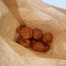 복호두거제수월점