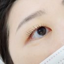 삼양약국 | 노원역속눈썸펌 뷰티앤리 노글루 무쌍펌 자세한 후기!!