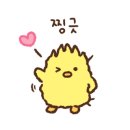 델리키아 이미지