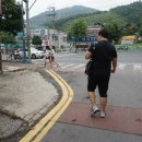 보림무영쌈밥 - 중구 | 보림무영쌈밥