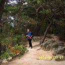 땅끝마을홍어 이미지