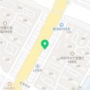 대전 강아지분양 고양이분양 파라다이스펫본점 이미지