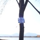 지천면사무소 이미지