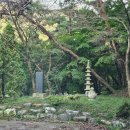 나주 금성산 다보사.