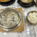 해남 마실 농원