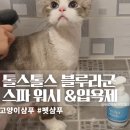 톨스톨스 블루라군 스파 워시&amp;입욕제 고양이샴푸