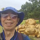 황금어시장 이미지