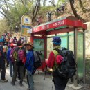 경남 창원시 천주산 진달래 축제 산행1 이미지