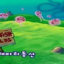 자유트래블 이미지