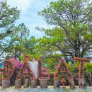 시은농장 | 베트남 나트랑 달랏 여행 코스 추천 3박 5일 경비 가볼만한곳