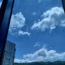 고산동물병원 이미지