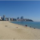 해운대부동산중개 이미지