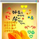 늘처음처럼 이미지