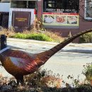 양지말가든 이미지