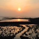 제주코기네 이미지