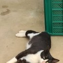 미도농장 이미지