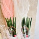 신월동190 이미지