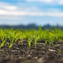 스마트팜의 미래 이미지