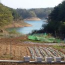 호두부동산공인중개사사무소 이미지