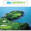 파인비치골프투어