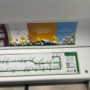 새성수약국 이미지