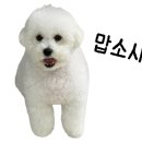 시야약국 이미지