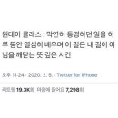 강서플라워