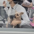 독크루 첨단점 이미지