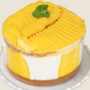 다담허브 | 생망고 시루 케이크 디저트 기념일후기