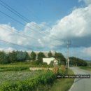 남하3리 이미지