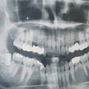 센텀맑은약국 이미지