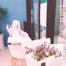 알라스카인제주가양역점 | [37주4일] :: 가양역 :: Alaska in Jeju ::