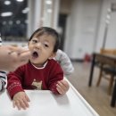주식회사 제주정보통신 | 13개월 손자 [제주2박3일]식단총정리![마미포유]유아식 후기!