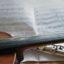 첼로 초급(성인) 이미지