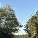 할머니가래떡볶이(파주문산점) 이미지