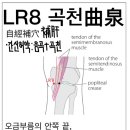 근곡천 네이버블로그