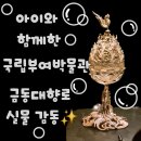 (온라인) 내 아이 한국사 교과서 미리보기 | 🌸 2025 부여백제문화제 가족나들이 하루코스 추천 (1편) 국립부여박물관 꿀팁·후기