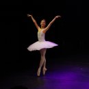 해설이 있는 발레이야기 이미지