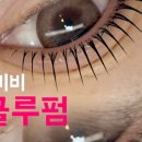 글램드비비